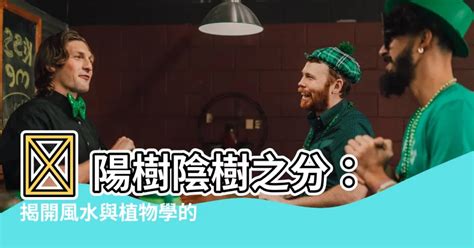 陰樹 陽樹|【陽樹 陰樹】 陽樹陰樹之分：揭開風水與植物學的奧秘